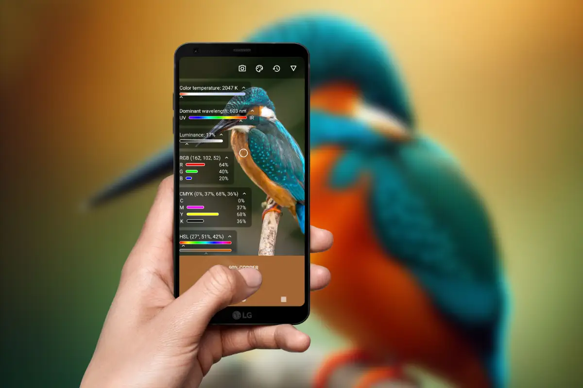identificar un color con la camara del movil identificando el color de un pajaro con el movil