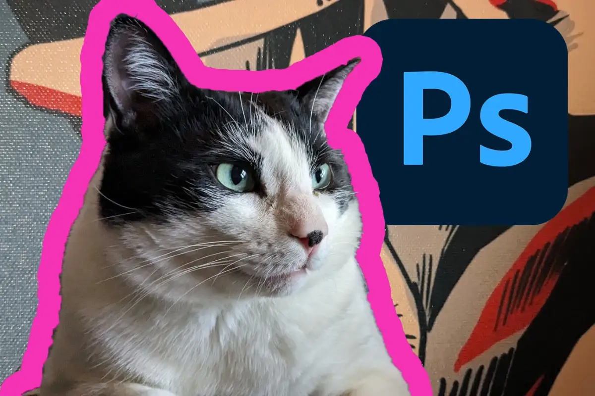Cómo añadir un borde a cualquier objeto con Photoshop Foto de un gato con el borde resaltado en color rosa